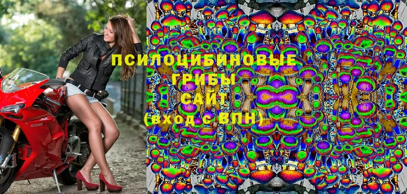 Галлюциногенные грибы ЛСД  Ивдель 